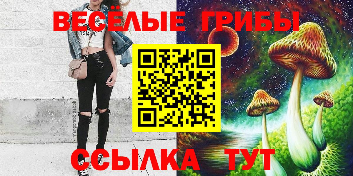 Галлюциногенные грибы MAGIC MUSHROOMS  Вход с VPN  где найти   Снежинск 