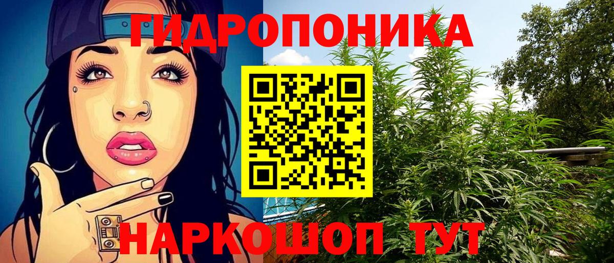 Каннабис SATIVA & INDICA Снежинск